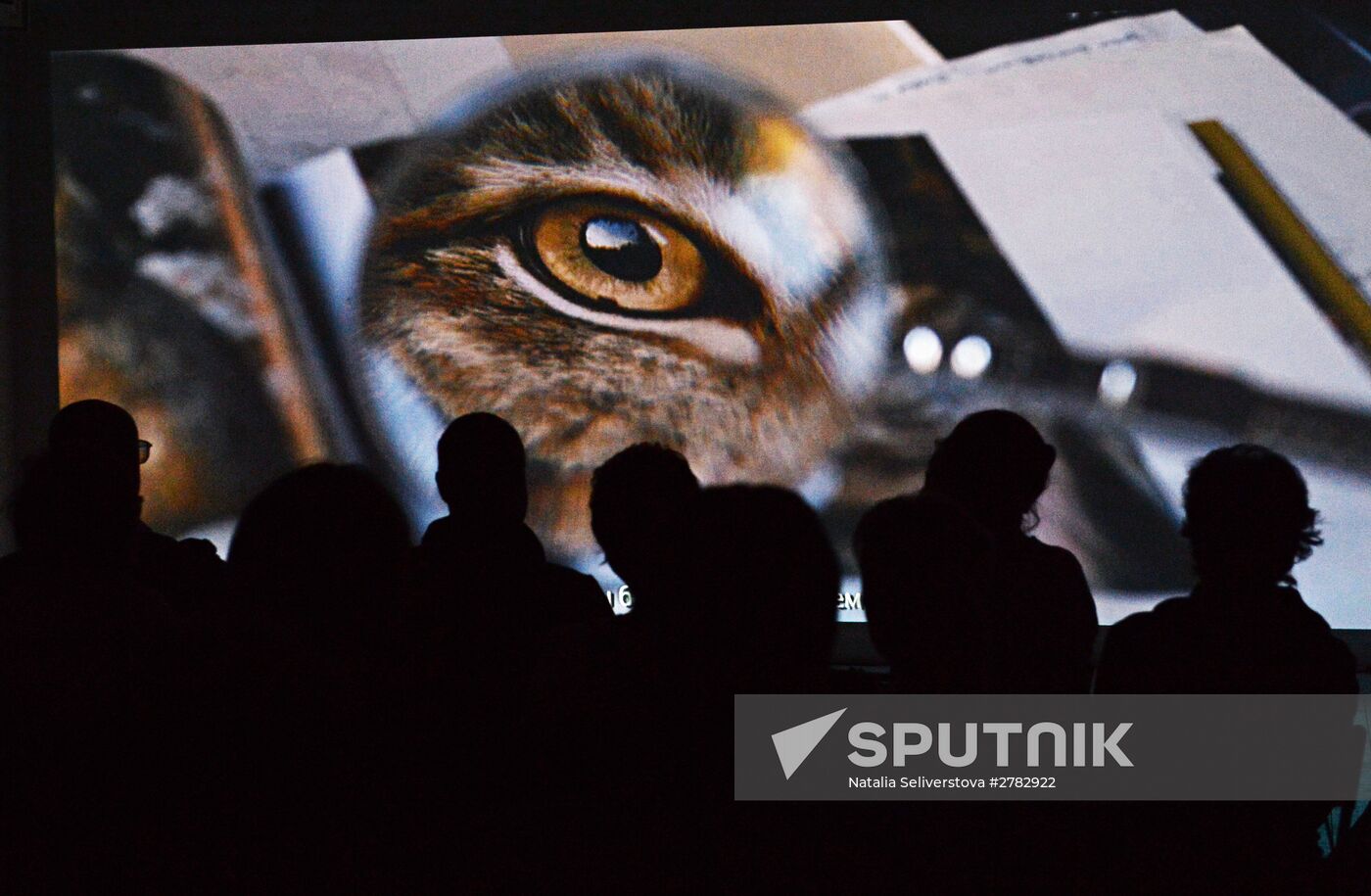 Wild Perspective exhibition unveiled