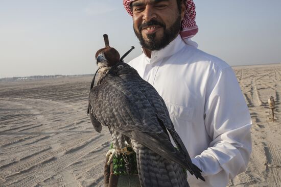 Bahrain royal falcons