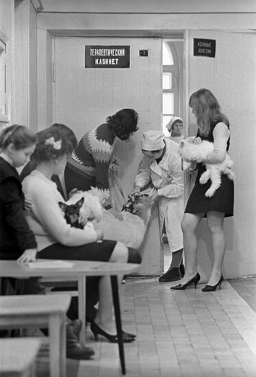 Animal clinic