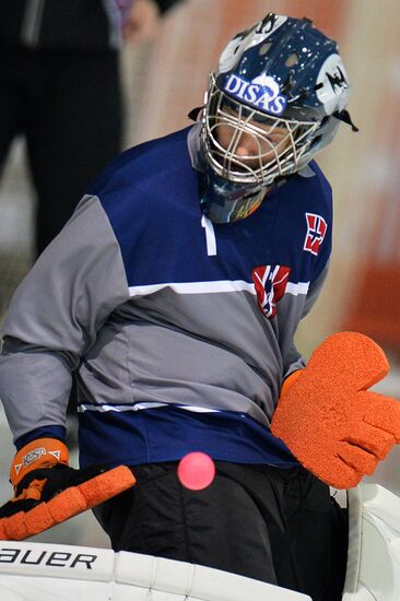 World Ball Hockey Championship. Belarus vs. Norway