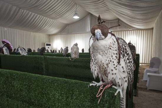 Royal falcons of Bahrain