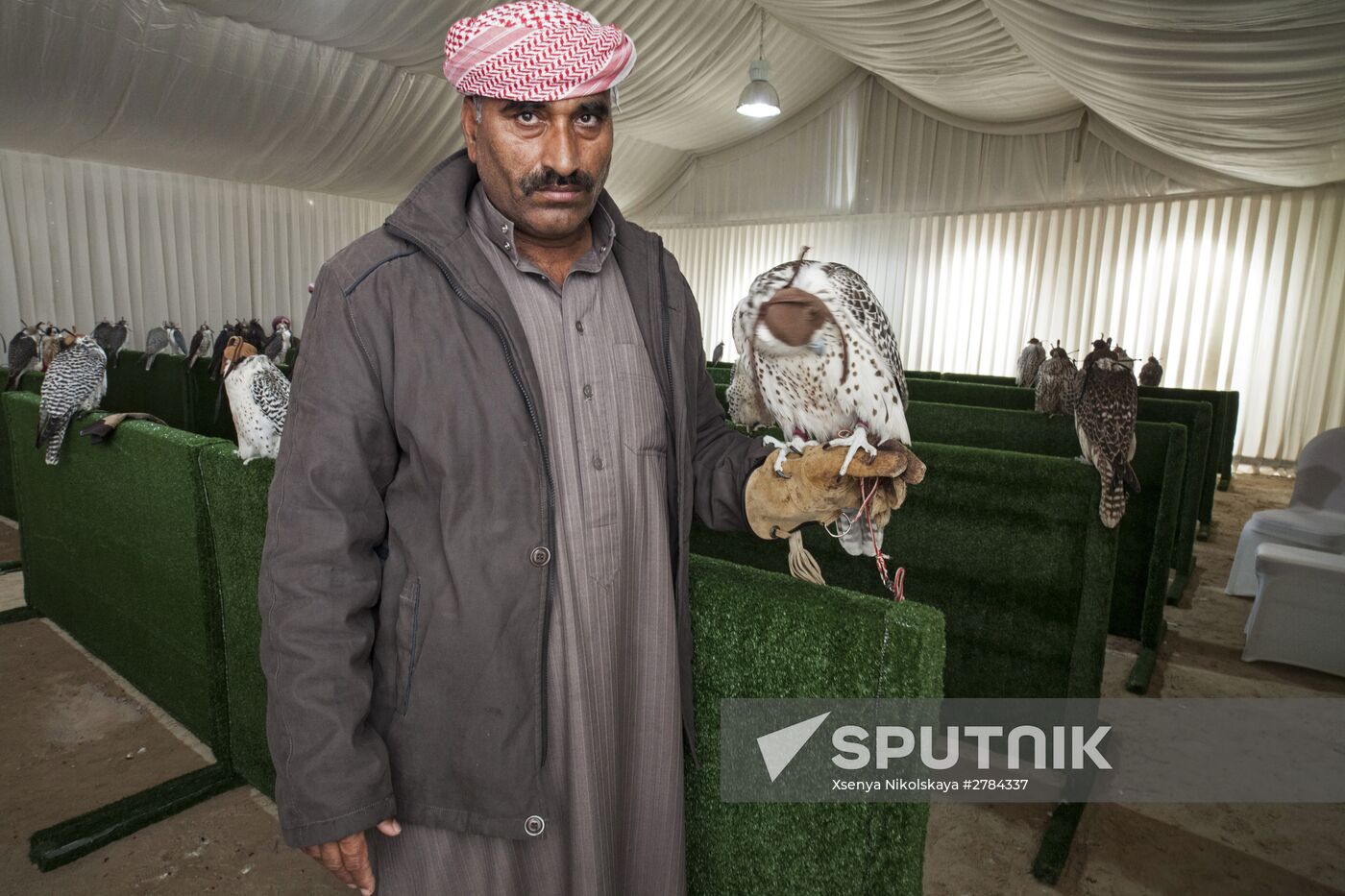Royal falcons of Bahrain