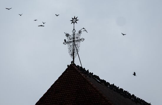 Cities of the world. Bratislava
