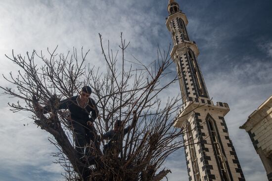 Homs update