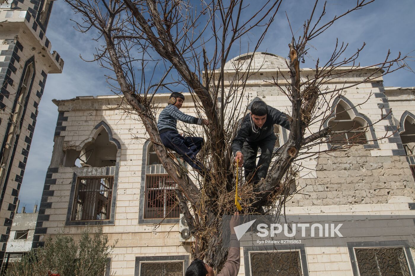 Homs update