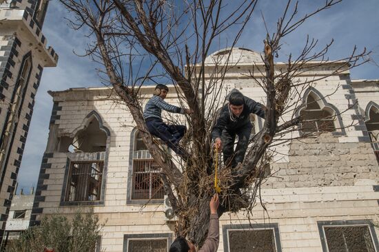 Homs update