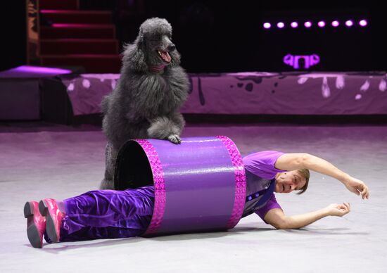 Premiere of circus show "Emotions And..."