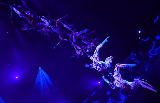 Circus performance "Emotions and..."