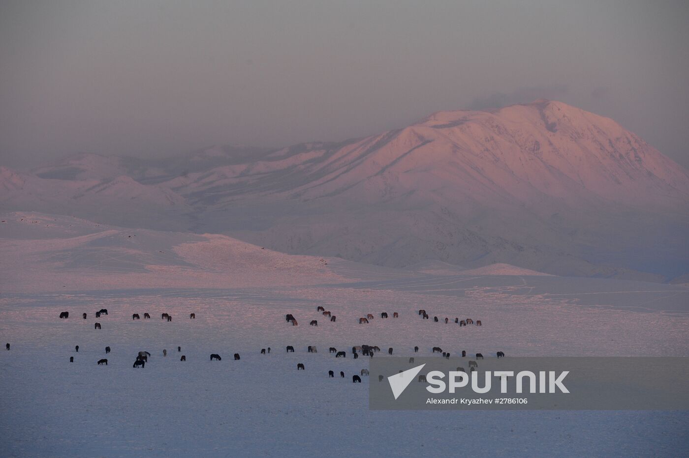 Winter ranges in Republic of Tuva