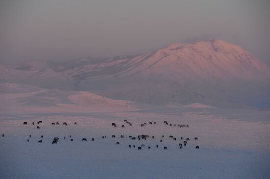 Winter ranges in Republic of Tuva