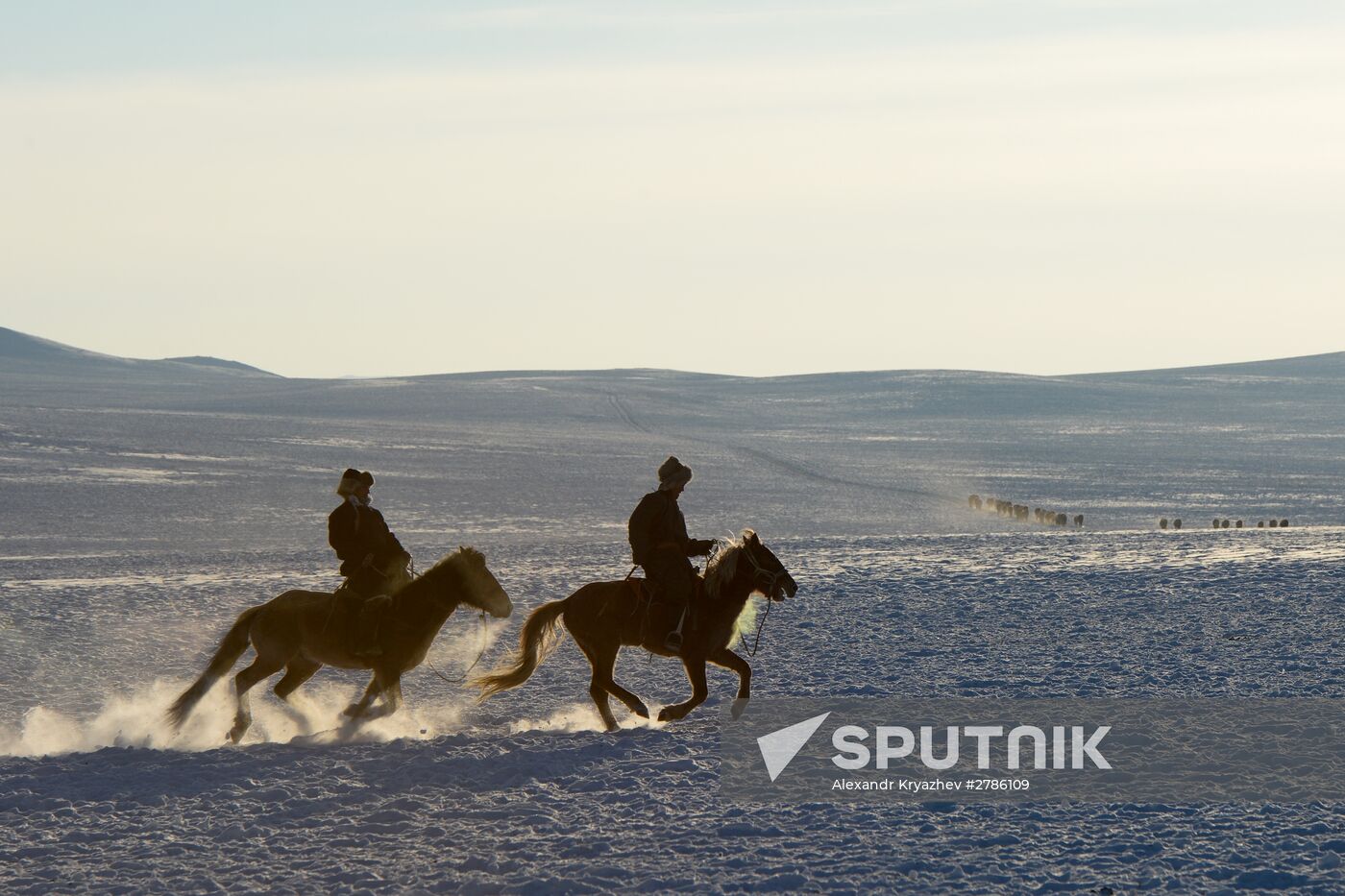 Winter ranges in Republic of Tuva