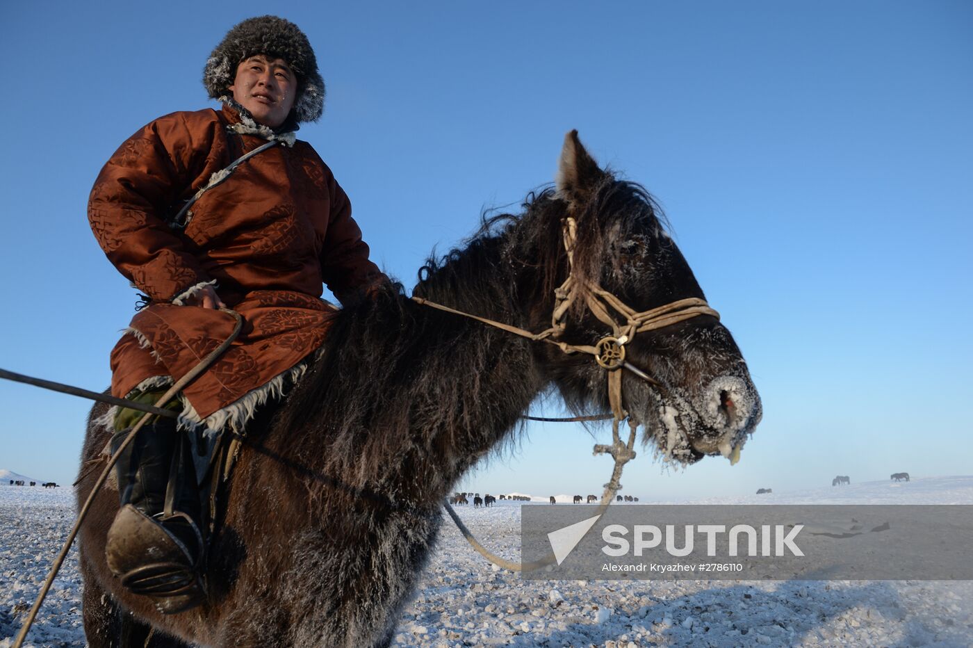 Winter ranges in Republic of Tuva