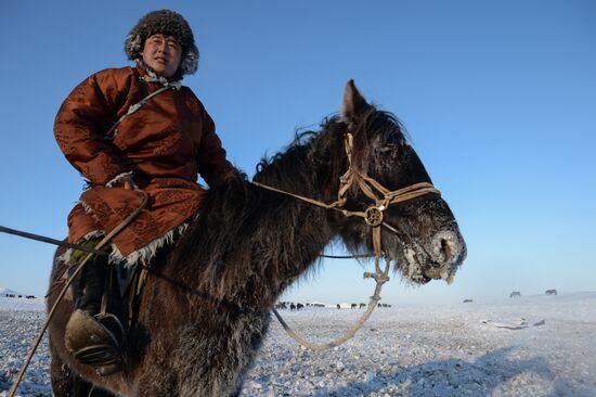 Winter ranges in Republic of Tuva