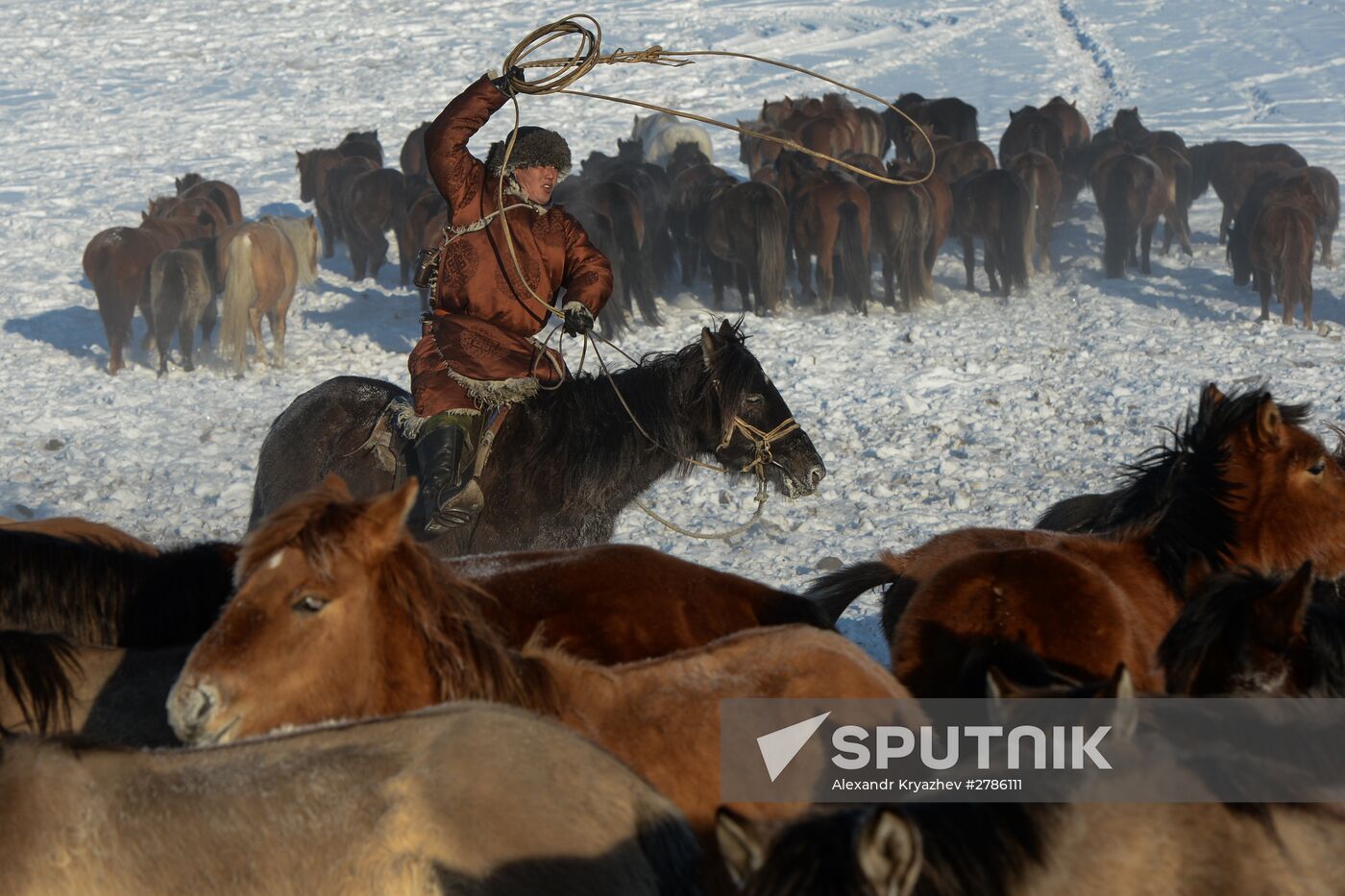 Winter ranges in Republic of Tuva