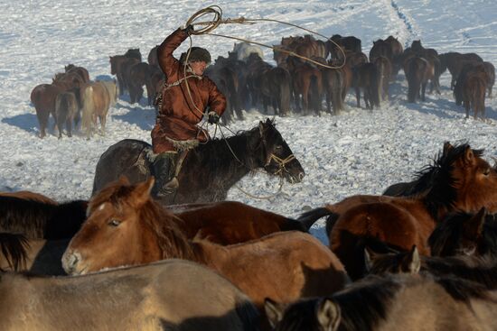 Winter ranges in Republic of Tuva