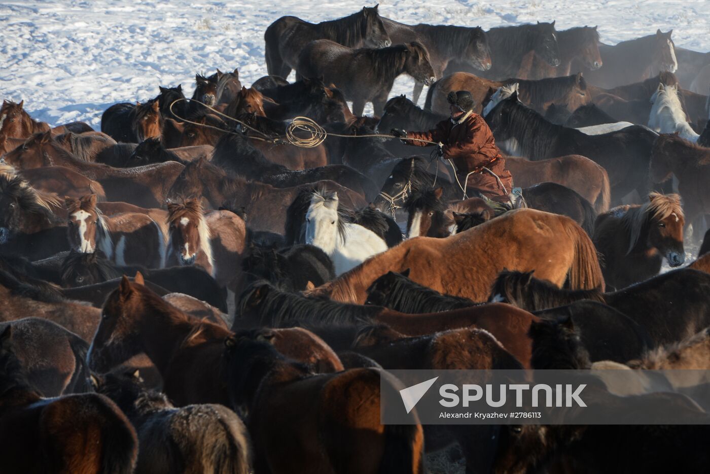 Winter ranges in Republic of Tuva
