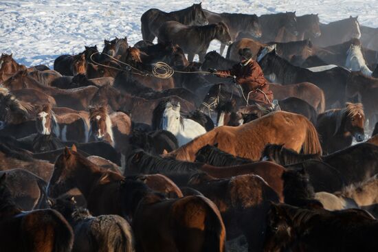 Winter ranges in Republic of Tuva
