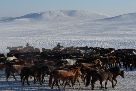 Winter ranges in Republic of Tuva