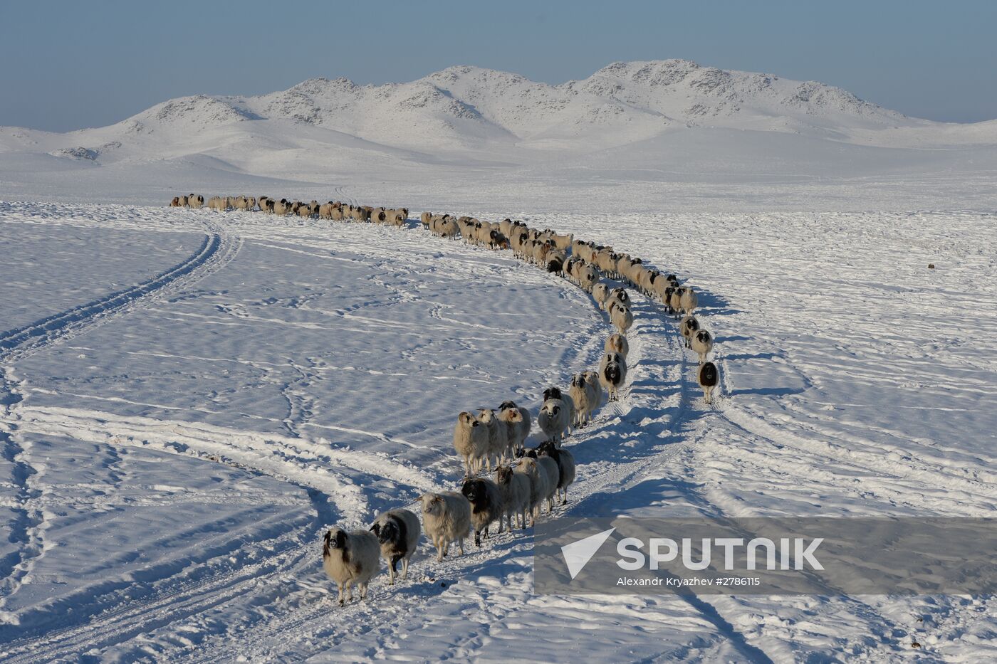 Winter ranges in Republic of Tuva