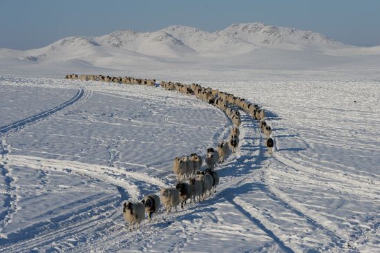 Winter ranges in Republic of Tuva