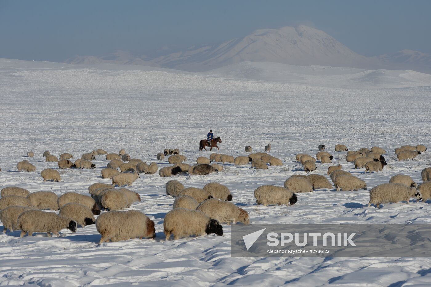 Winter ranges in Republic of Tuva
