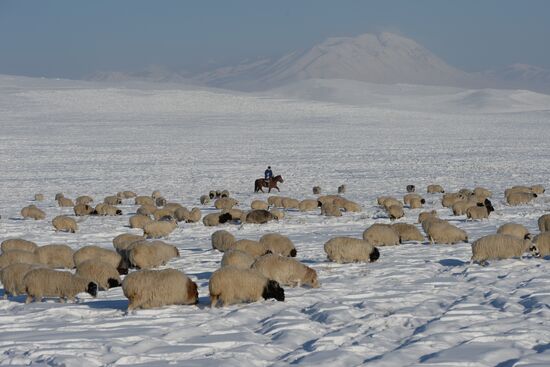Winter ranges in Republic of Tuva