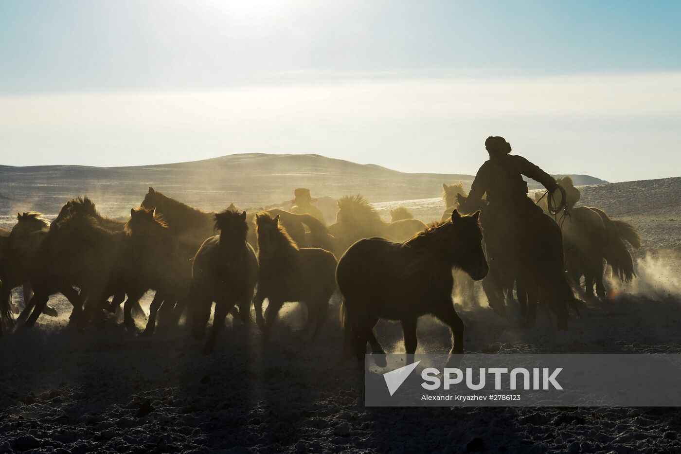 Winter ranges in Republic of Tuva