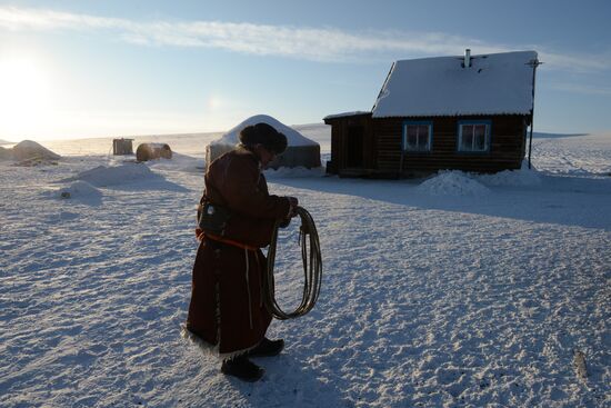 Winter ranges in Republic of Tuva