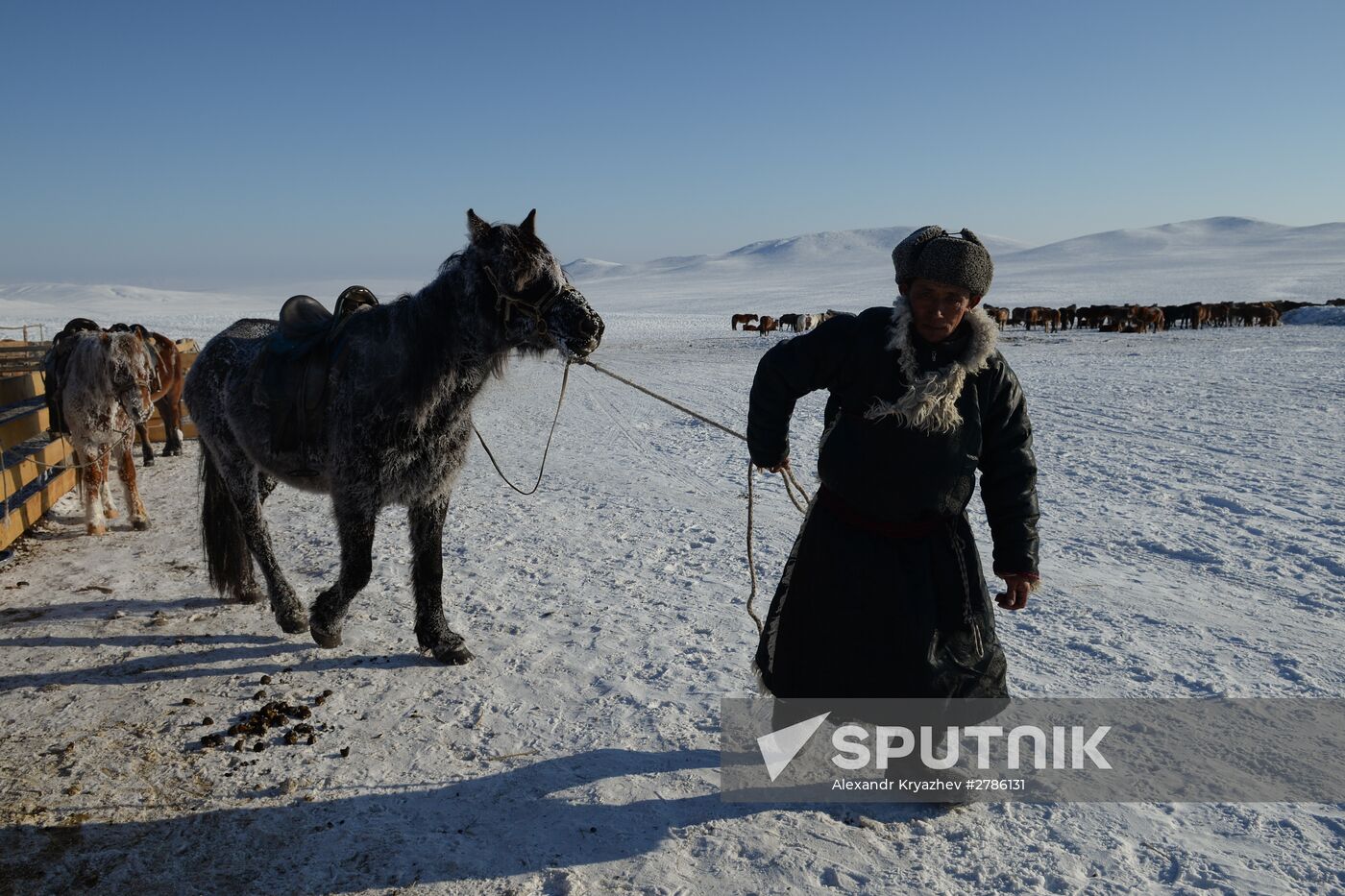 Winter shepherd camps in Republic of Tuva