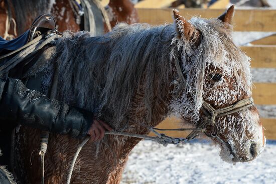 Winter shepherd camps in Republic of Tuva