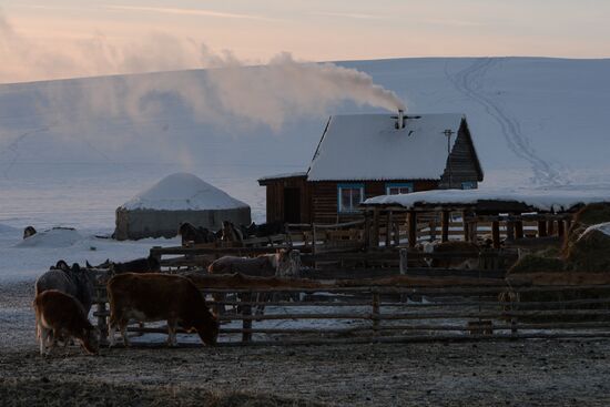 Winter ranges in Republic of Tuva