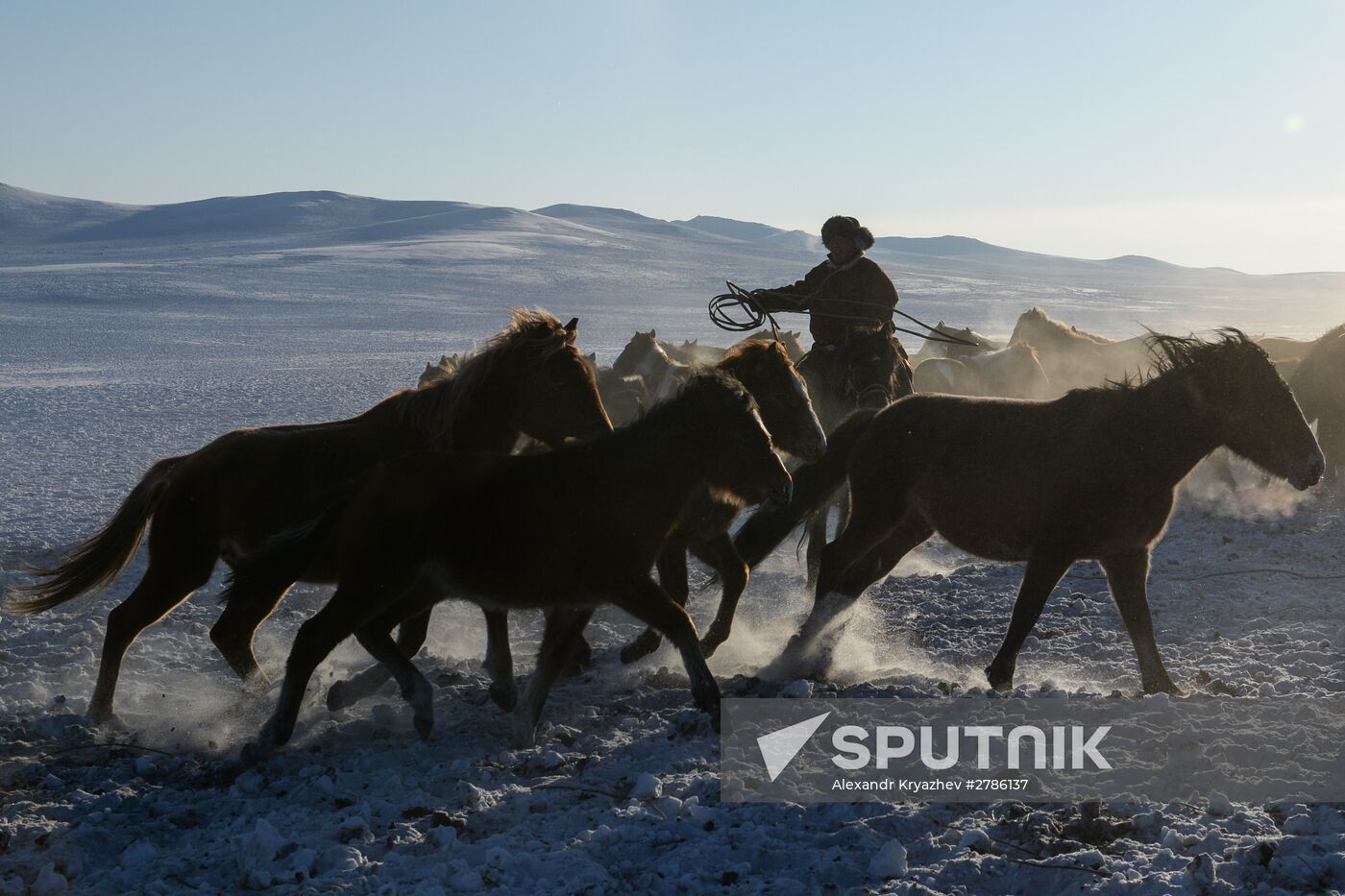 Winter ranges in Republic of Tuva