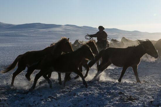 Winter ranges in Republic of Tuva