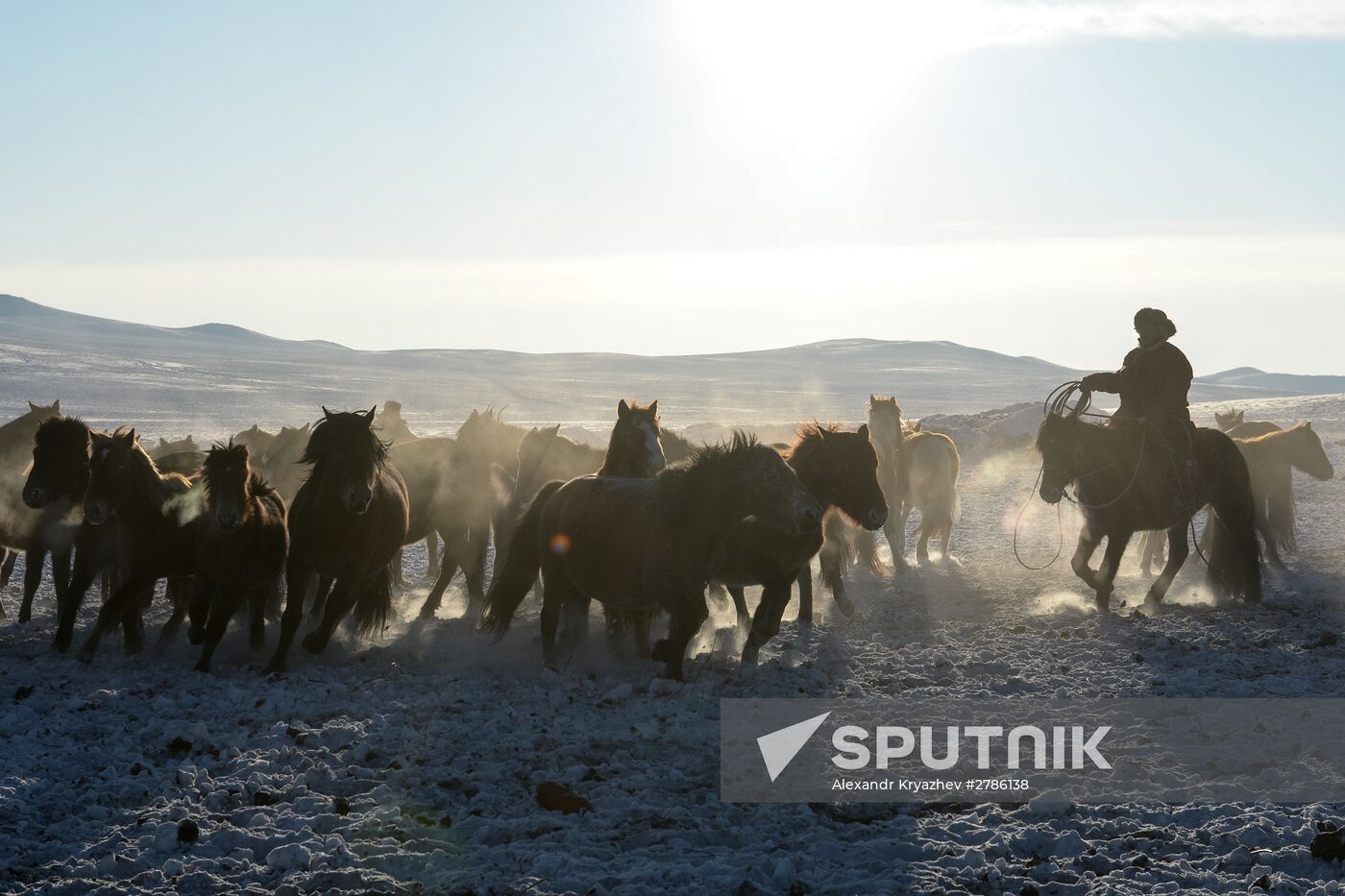 Winter ranges in Republic of Tuva