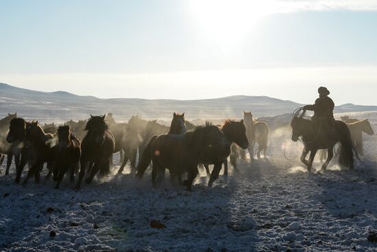 Winter ranges in Republic of Tuva