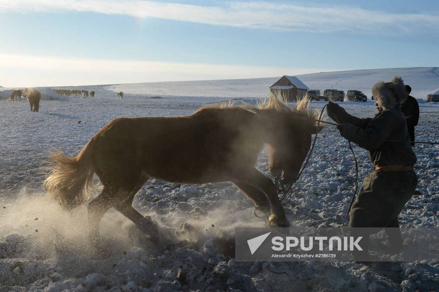 Winter ranges in Republic of Tuva