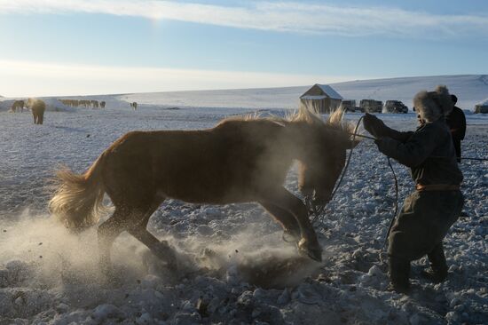 Winter ranges in Republic of Tuva