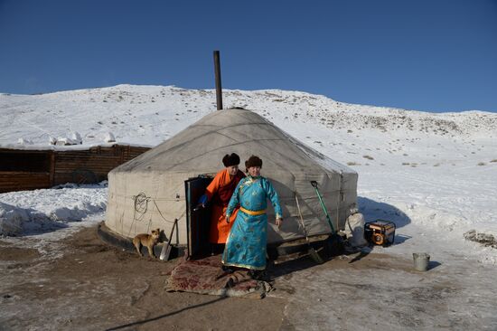 Winter shepherd camps in Republic of Tuva