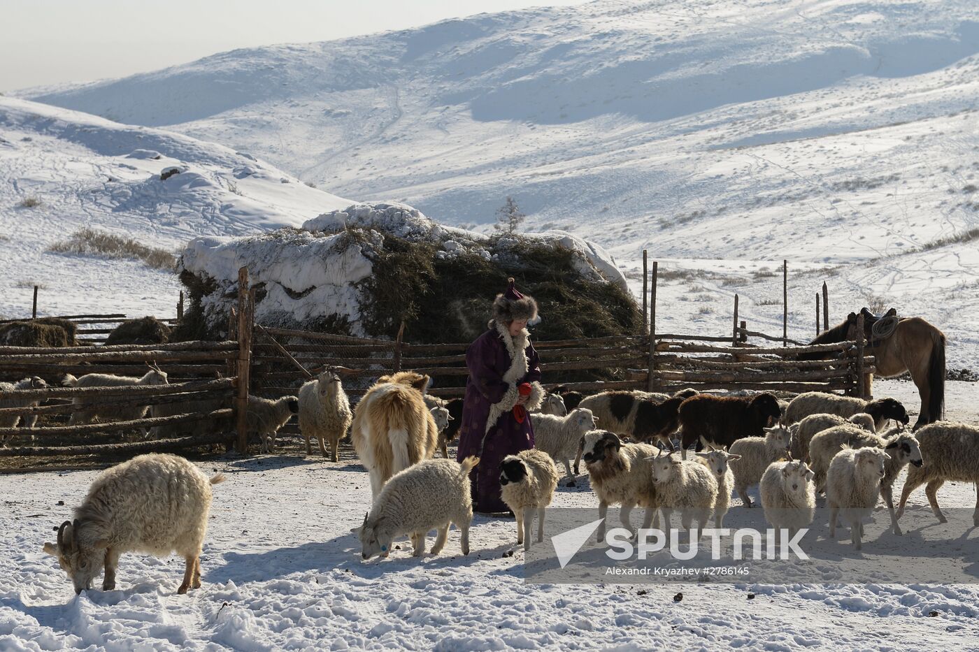 Winter shepherd camps in Republic of Tuva