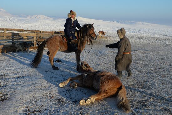 Winter ranges in Republic of Tuva