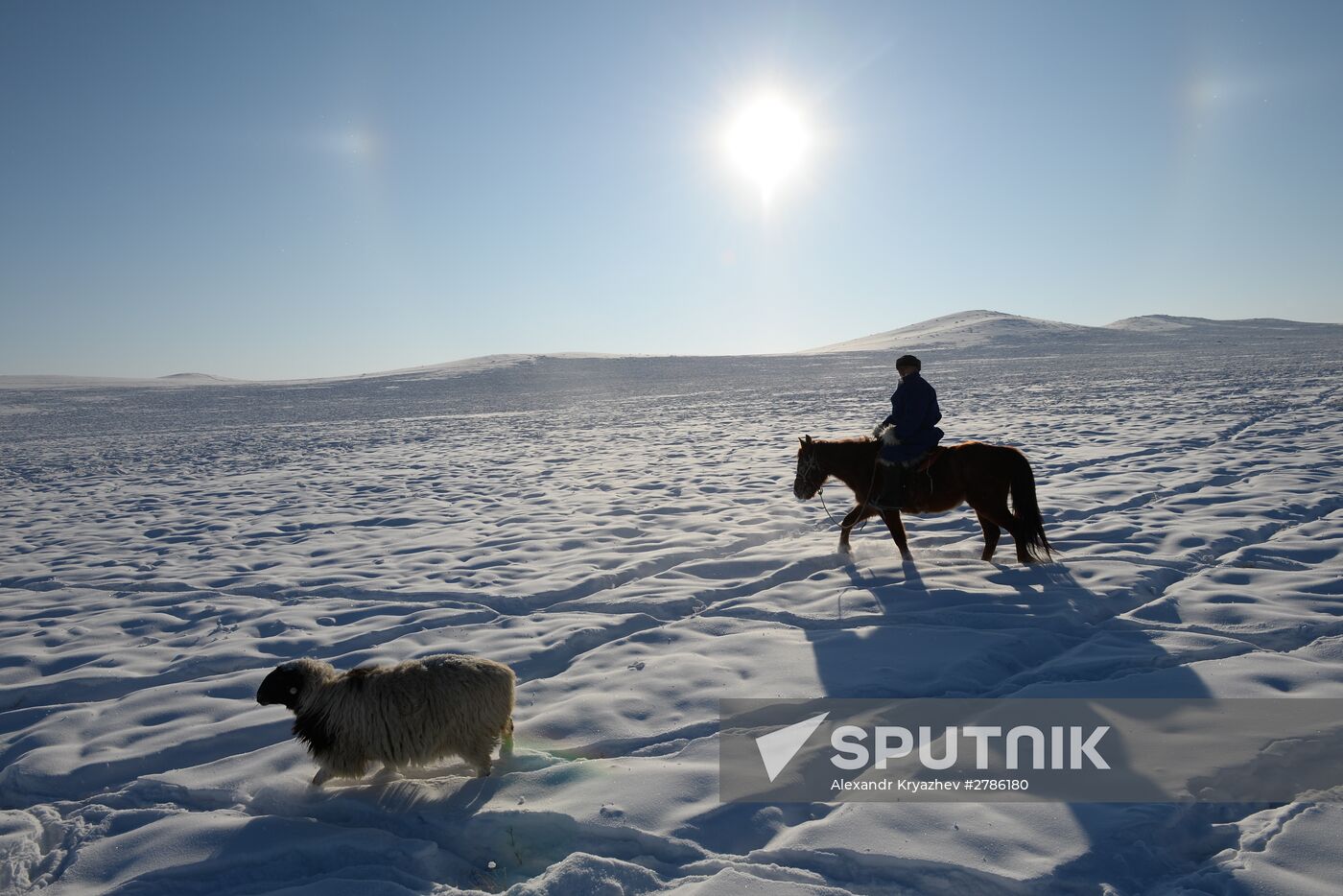 Winter shepherd camps in Republic of Tuva