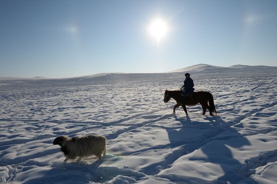 Winter shepherd camps in Republic of Tuva