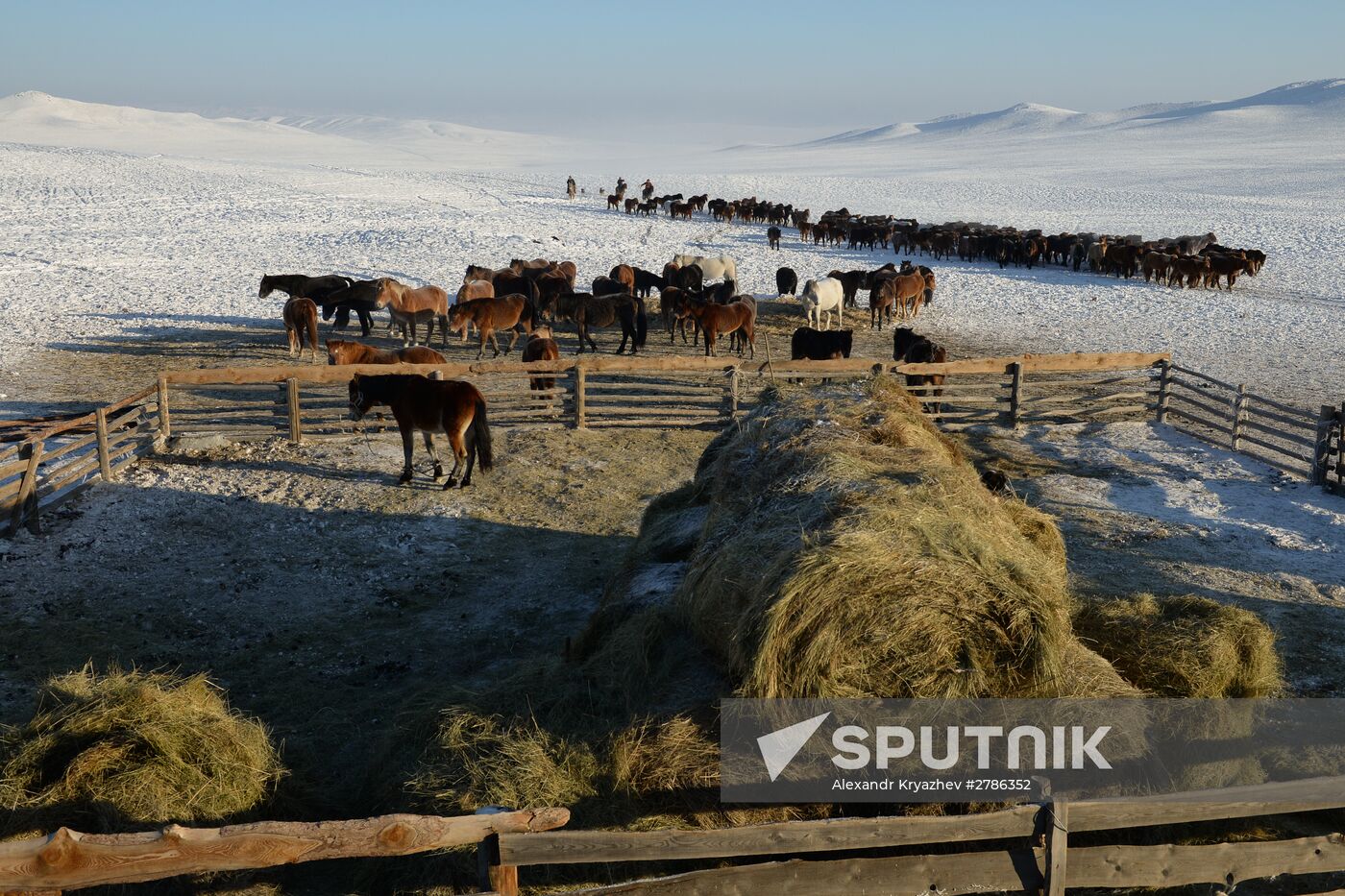 Winter shepherd camps in Republic of Tuva