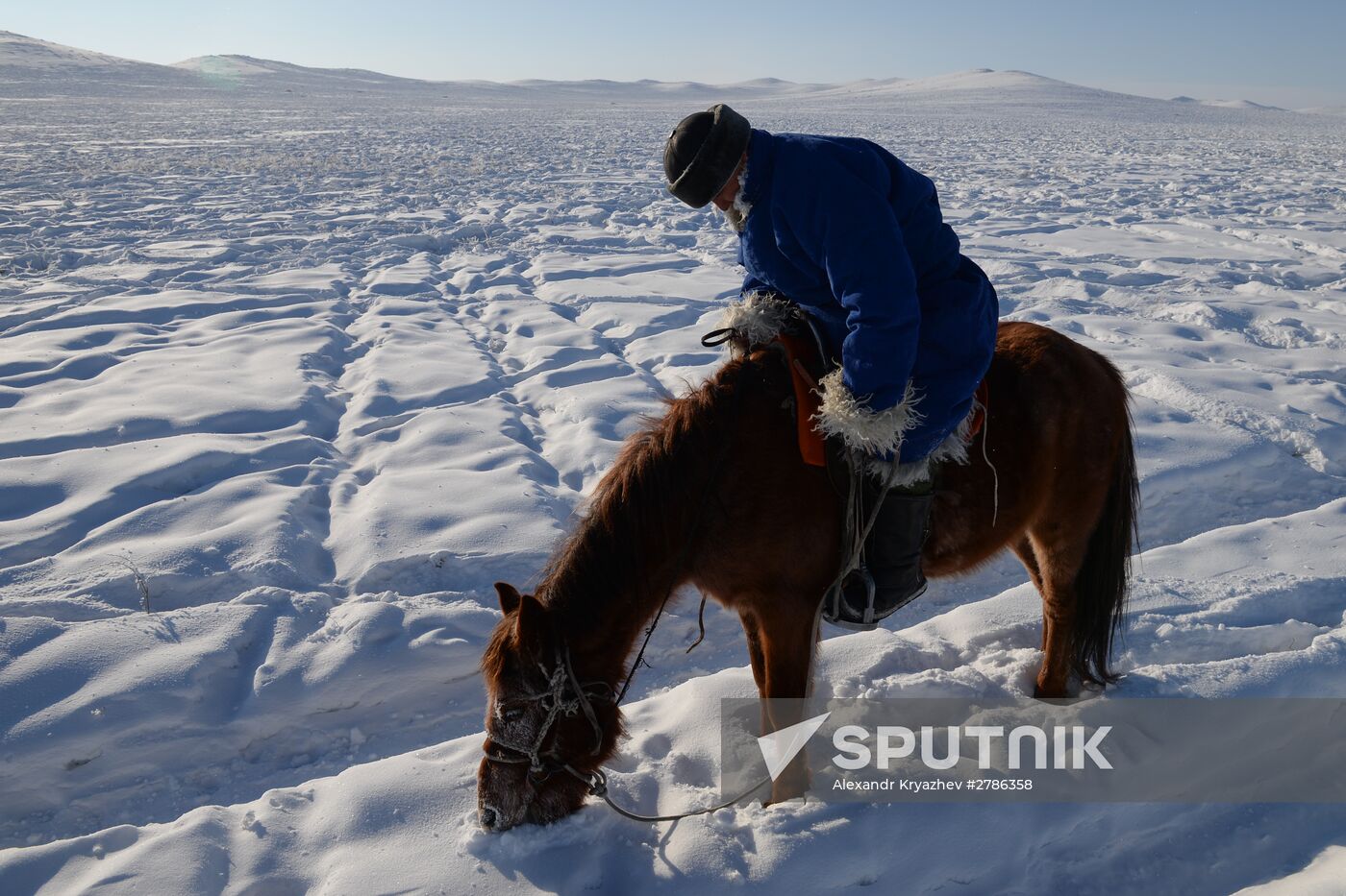 Winter shepherd camps in Republic of Tuva