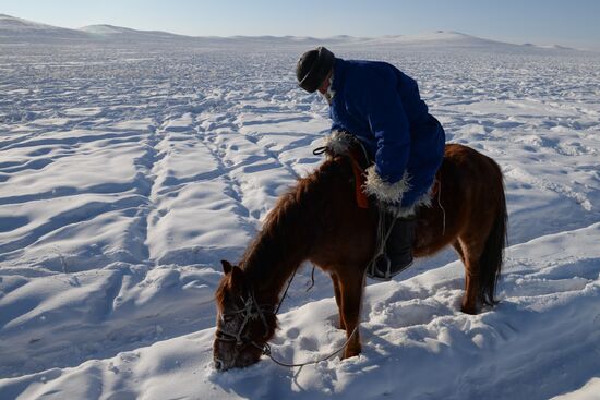 Winter shepherd camps in Republic of Tuva