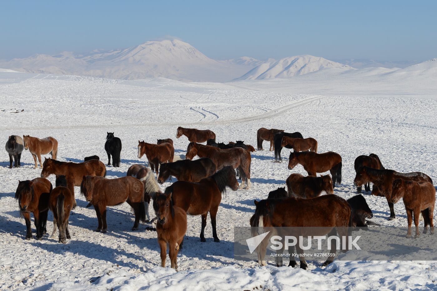 Winter shepherd camps in Republic of Tuva