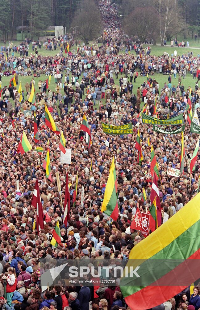 Rally in Vilnius