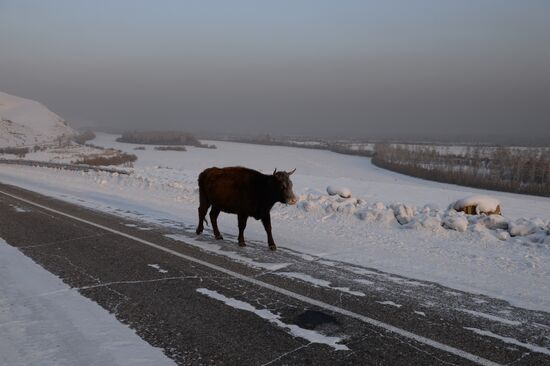 Russian regions. Republic of Tyva