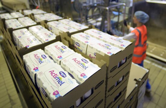 Producing dairy products at Danone plant
