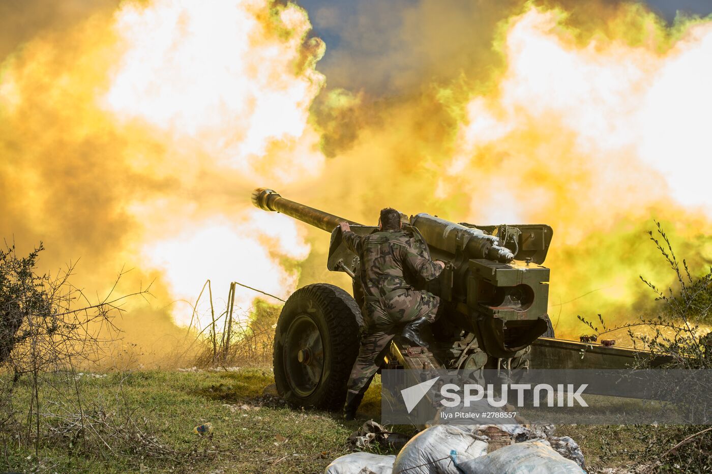 Syrian army in Idlib province